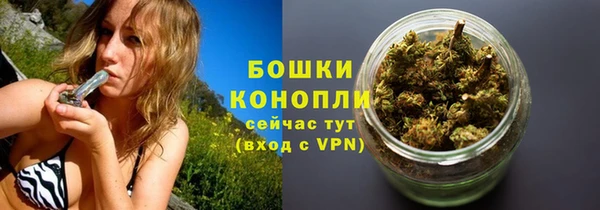метадон Белокуриха