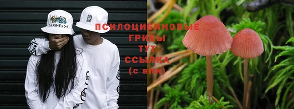 метадон Белокуриха