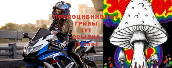 метадон Белокуриха