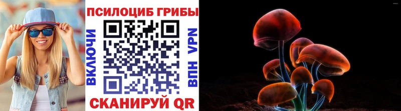 где продают наркотики  Евпатория  ссылка на мегу как войти  Псилоцибиновые грибы мицелий 